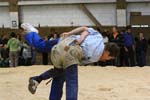IMG_1495