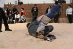 IMG_1531